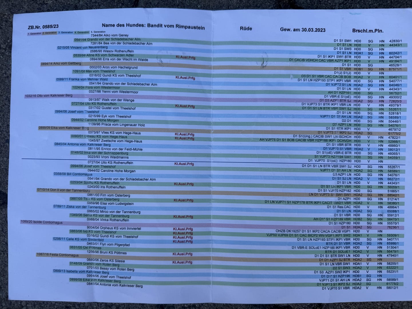 Bandit vom Rimpaustein