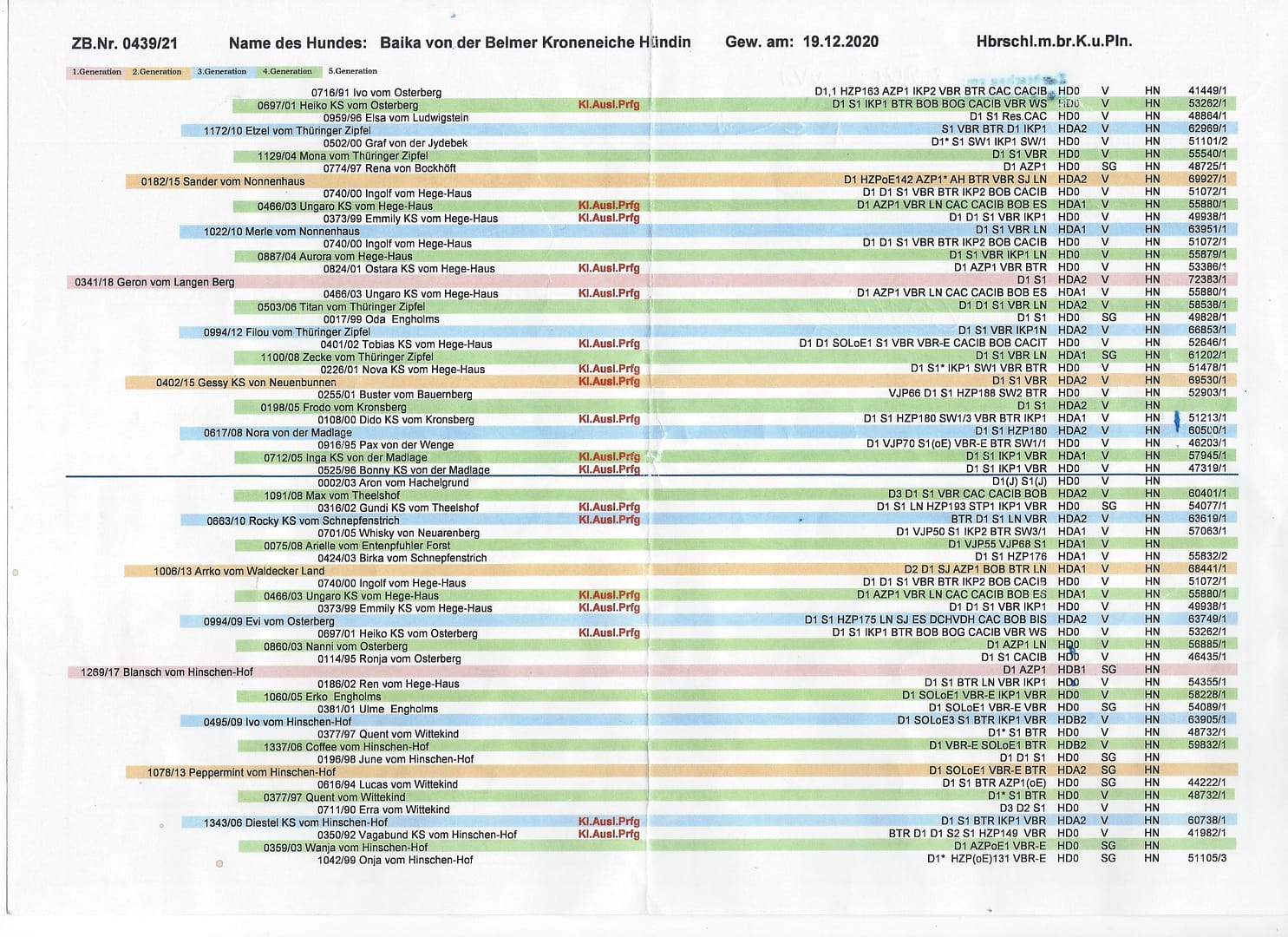 Ahnentafel Baika von der Belmer Kroneneiche 
