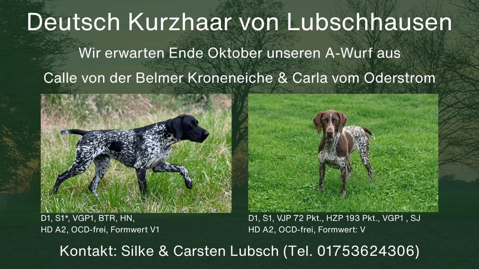 A Wurf DK von Lubschhausen