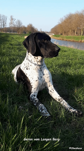 Geron vom Langen Berg